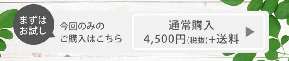 通常購入4,500円