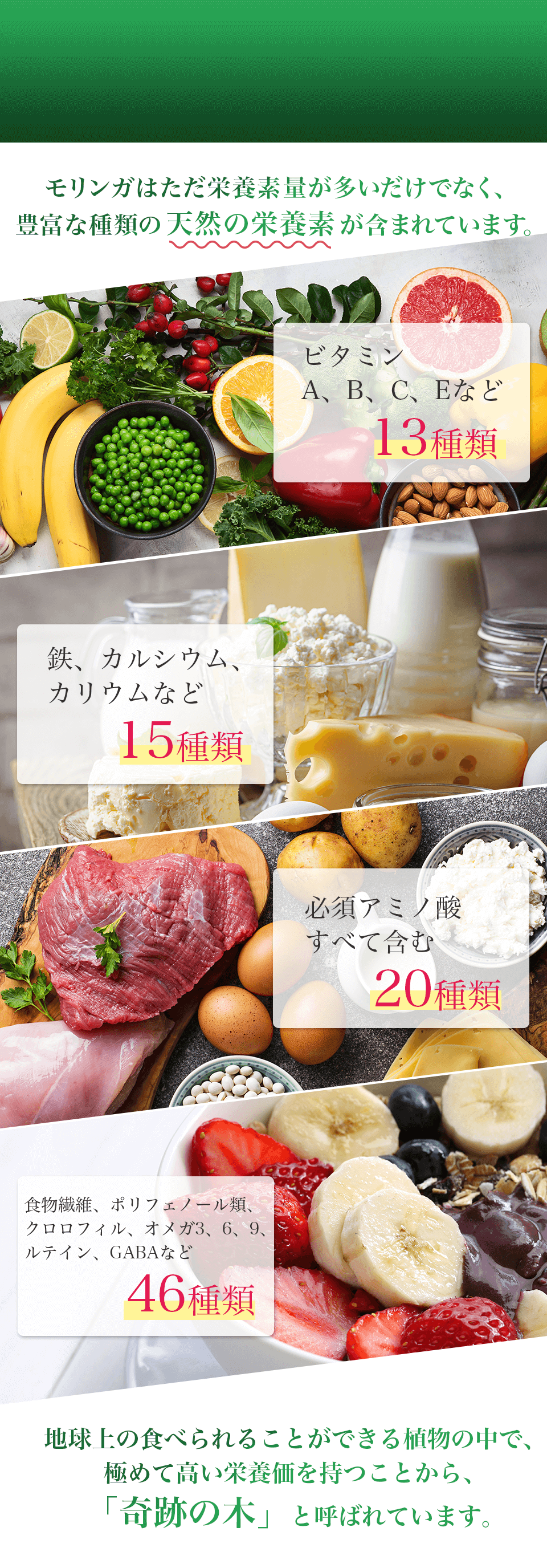 モリンガが含む90種類以上の栄養成分