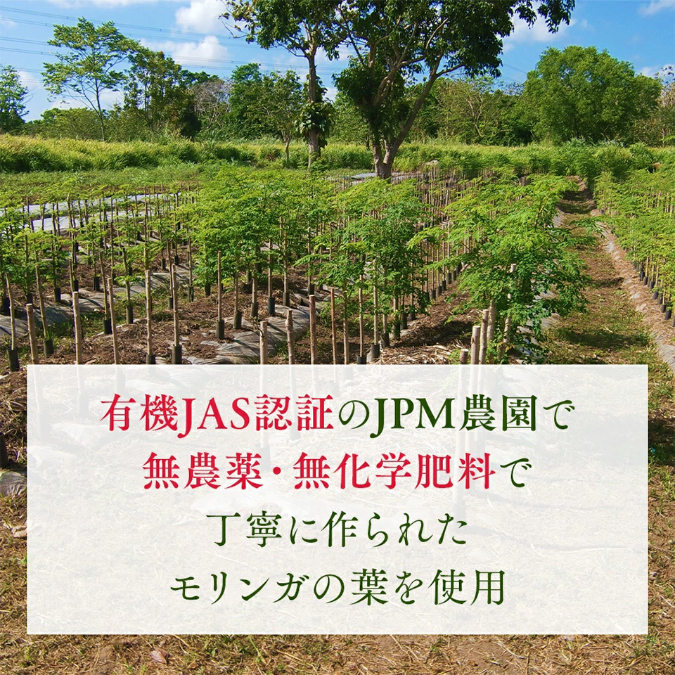 有機JAS認証のJPM農園で無農薬・無科学肥料で丁寧に作られたモリンガの葉を使用